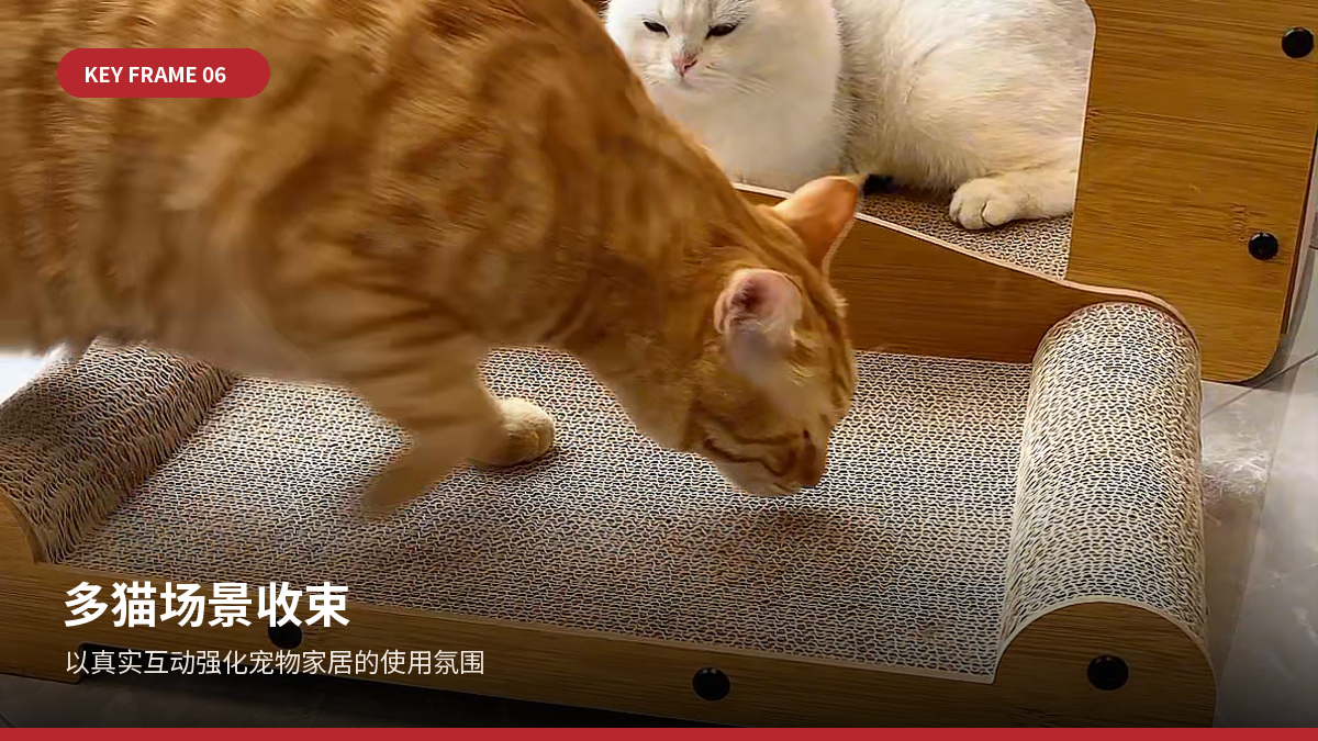 竖版视频展示